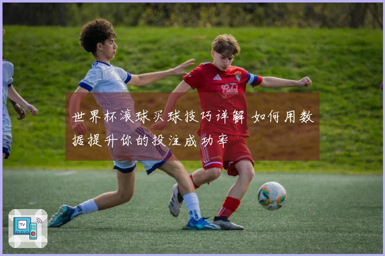 世界杯滚球买球技巧详解 如何用数据提升你的投注成功率
