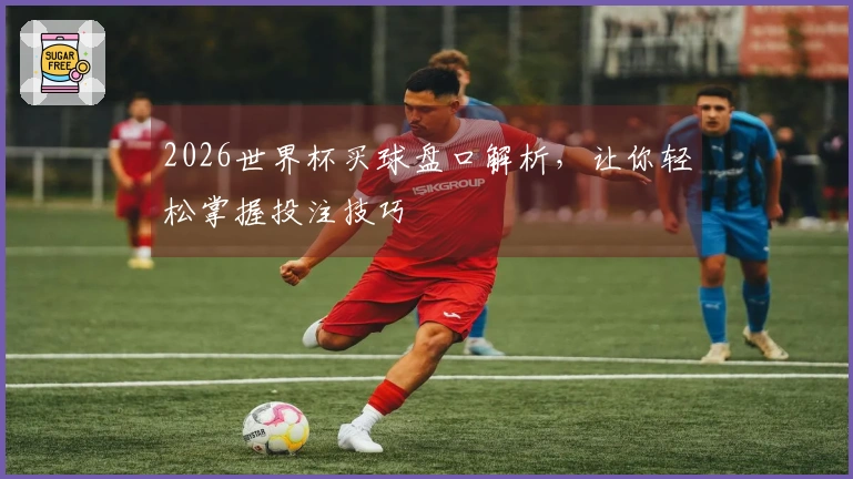2026世界杯买球盘口解析，让你轻松掌握投注技巧