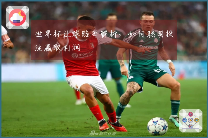 世界杯让球赔率解析，如何聪明投注赢取利润