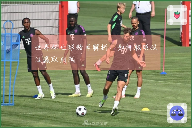 世界杯让球赔率解析，如何聪明投注赢取利润