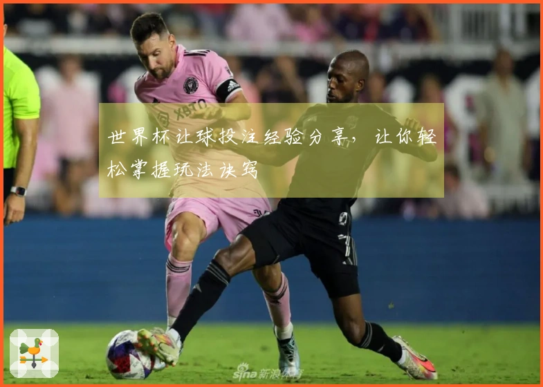 世界杯让球投注经验分享，让你轻松掌握玩法诀窍