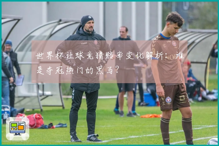 世界杯让球竞猜赔率变化解析：谁是夺冠热门的黑马？